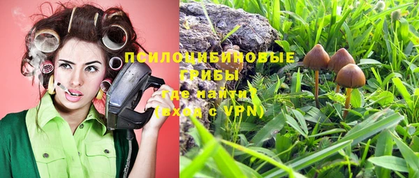 ALPHA PVP Киренск