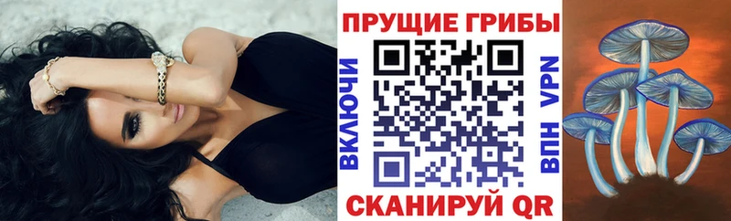 как найти закладки  Чёрмоз  ОМГ ОМГ ссылки  Галлюциногенные грибы Psilocybine cubensis 