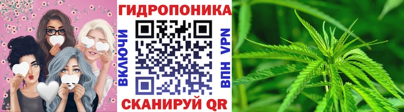 Конопля план  Чёрмоз 